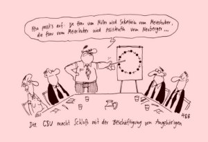 Quelle: Cartoon Hauck und Bauer - Der Spielgel 06.2013